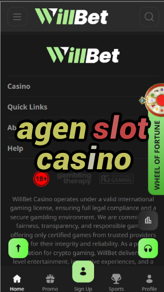 Agen Slot Casino - Best Slot Game Providers-casinoorder.vip